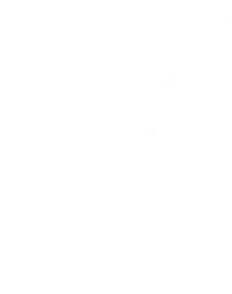 Netweb Logo